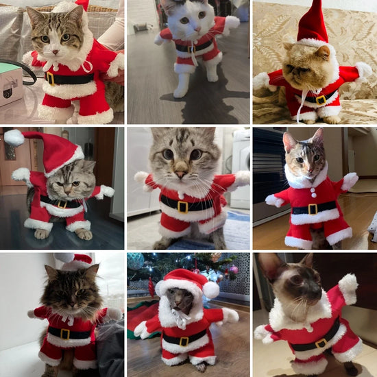 Pet Christmas Costumes