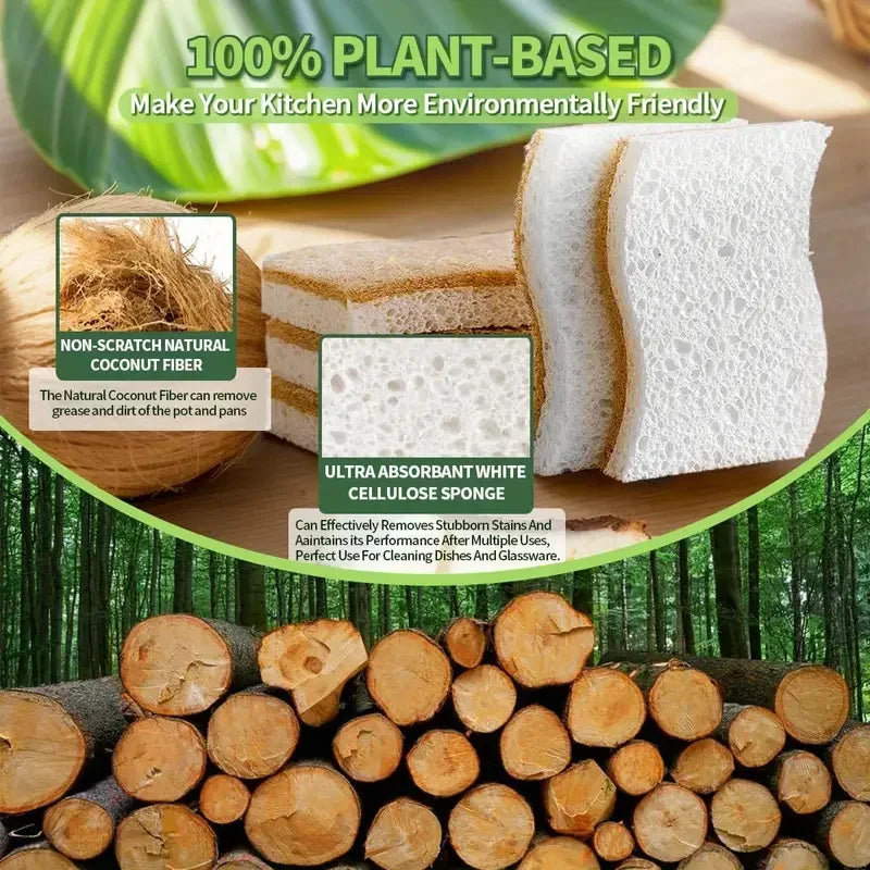 Natural Cellulose Coconut Scrubber Sponges for Kitchen Dish Cleaning